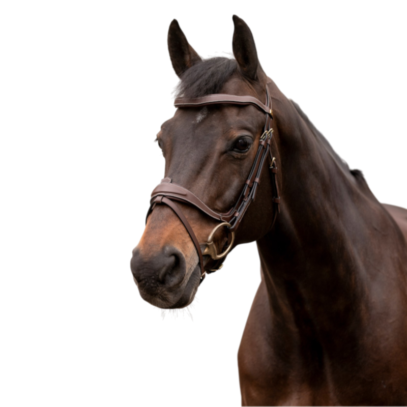 K By Equithème - Bridon K-KONTOUR havane