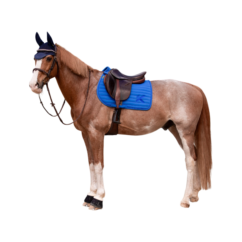 K By Equithème - Tapis de selle K-CESAR bleu roi