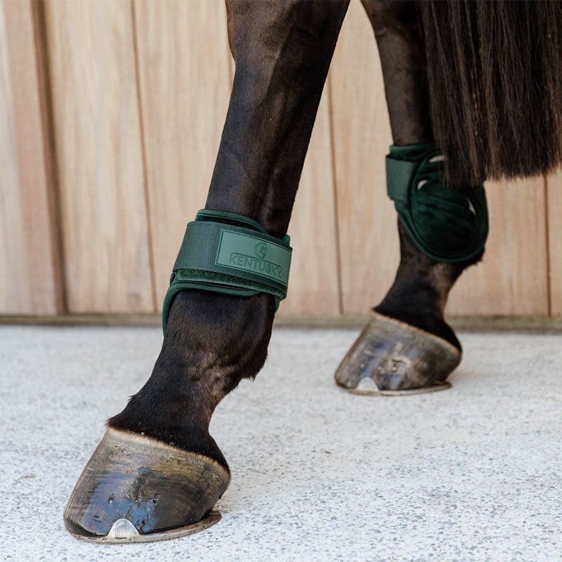 Kentucky Horsewear - Protège-boulets jeunes chevaux Velvet vert foncé | - Ohlala