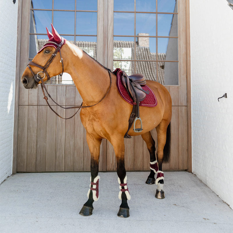 Kentucky Horsewear - Protège-boulets jeunes chevaux mouton vegan Velvet bordeaux | - Ohlala
