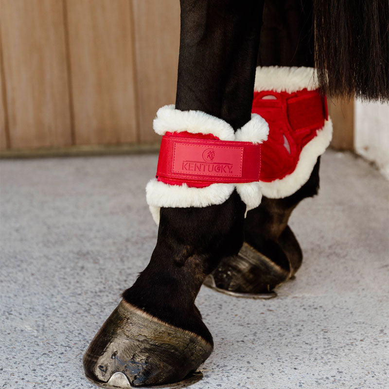 Kentucky Horsewear - Protège-boulets jeunes chevaux mouton vegan Velvet rouge | - Ohlala