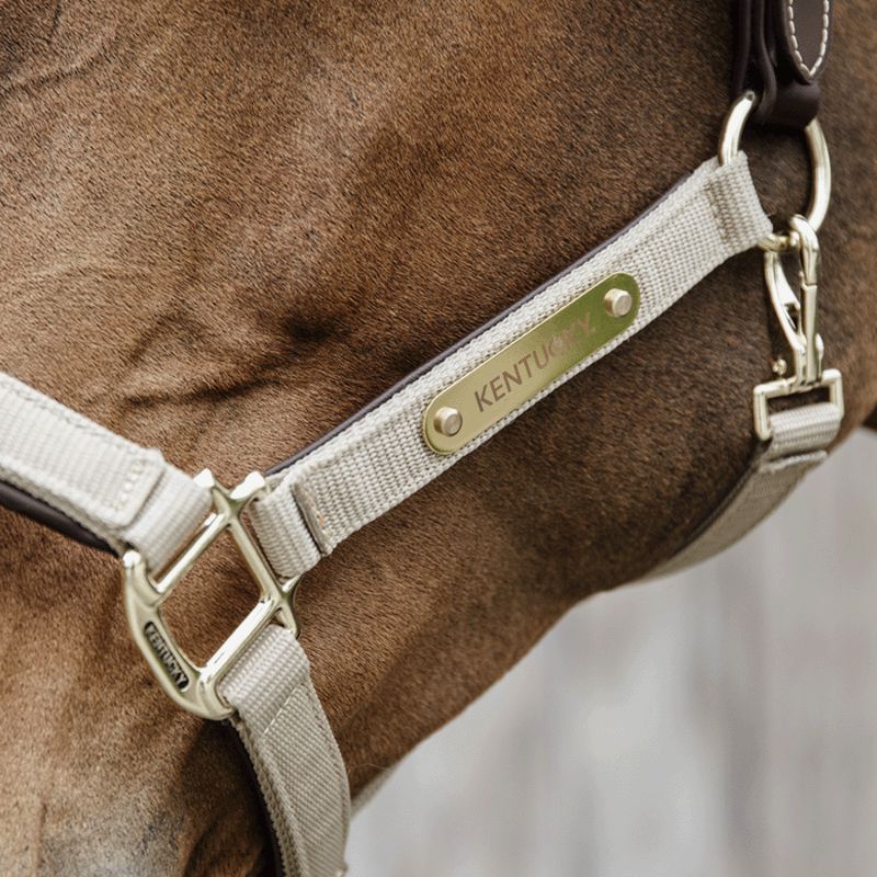Kentucky Horsewear - Licol anatomique nylon beige | - Ohlala