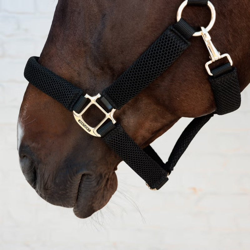 Kentucky Horsewear - Licol pour chevaux Halter noir | - Ohlala