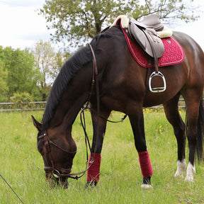 Kentucky Horsewear - Bandes de polo velvet fuchsia | - Ohlala
