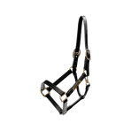 Kentucky Horsewear - Licol en cuir Wellington noir | - Ohlala