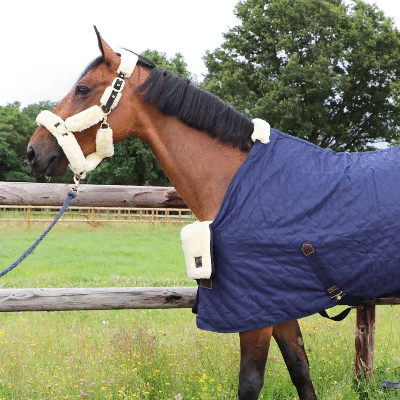 Protection de poitrail pour couverture cheval