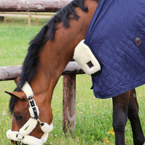 Kentucky Horsewear - Protection de poitrail en mouton naturel | - Ohlala