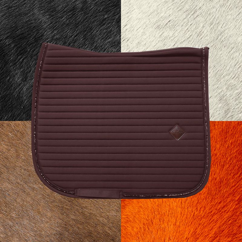 Kentucky Horsewear - Tapis de dressage Pearls marron | - Ohlala