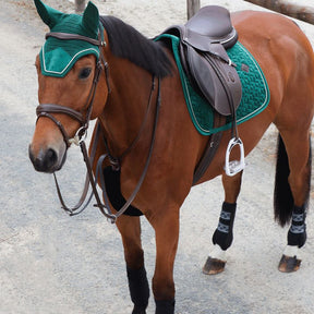 Kentucky Horsewear - Lucky Charms vert clair/blanc | - Ohlala
