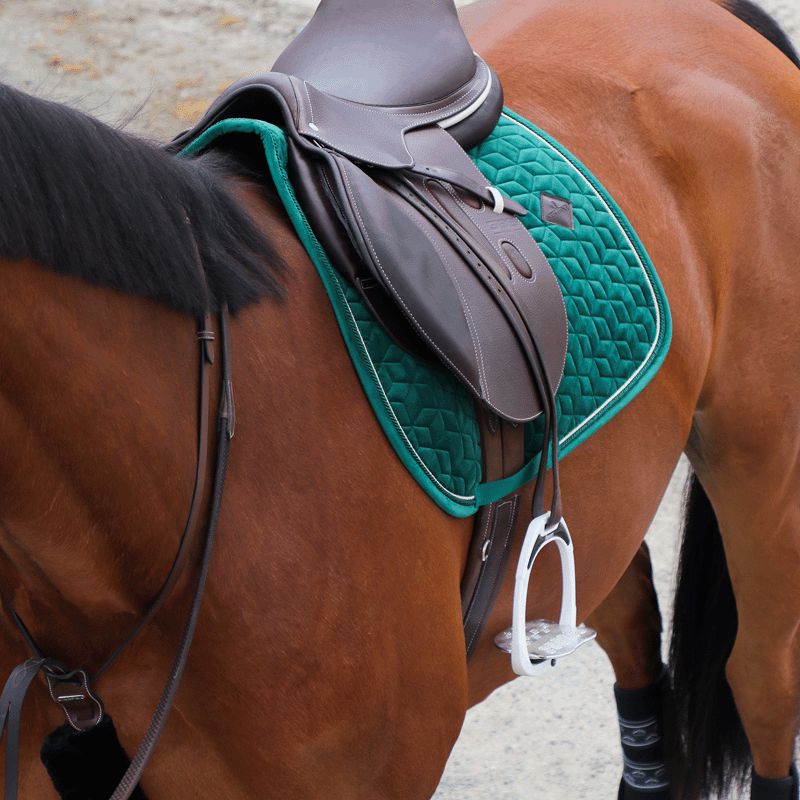 Kentucky Horsewear - Fourreau de collier de chasse noir | - Ohlala