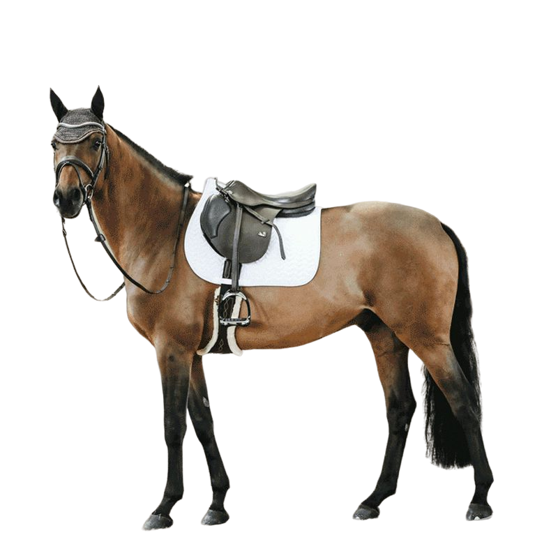 Kentucky Horsewear - Tapis de selle Fishbone Blanc | - Ohlala