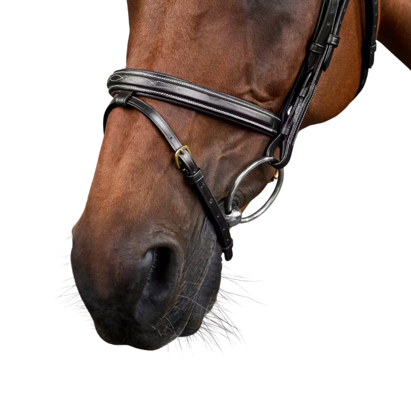 Dyon - Bridon muserolle combinée Dy'on Collection noir