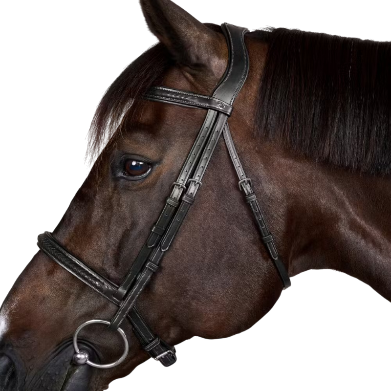 Dyon - Bridon New English Collection marron