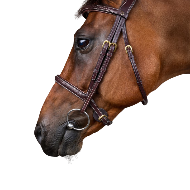 Dyon - Bridon tressé Dy'on Collection marron