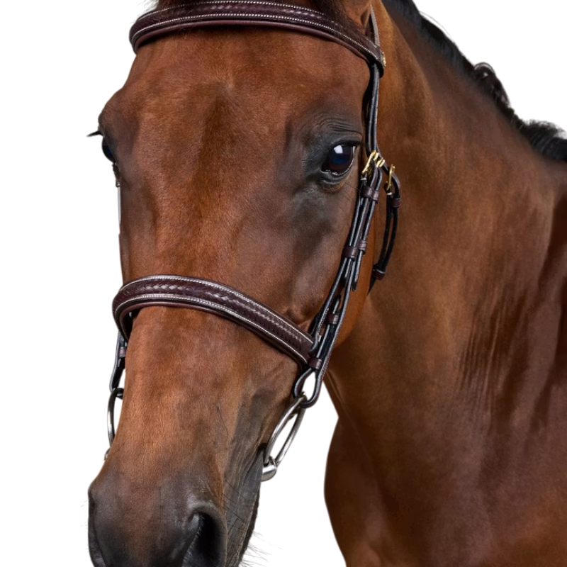 Dyon - Bridon tressé Dy'on Collection marron