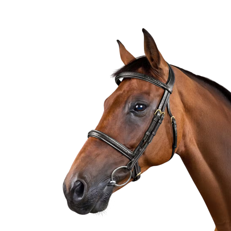 Dyon - Bridon tressé Dy'on Collection noir