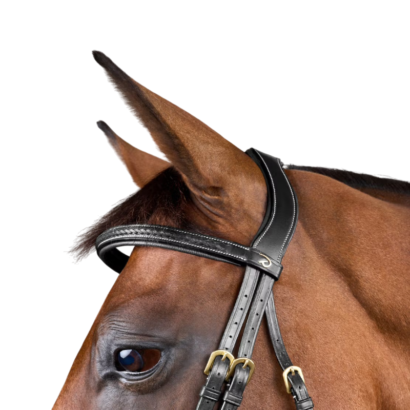 Dyon - Bridon tressé Dy'on Collection noir