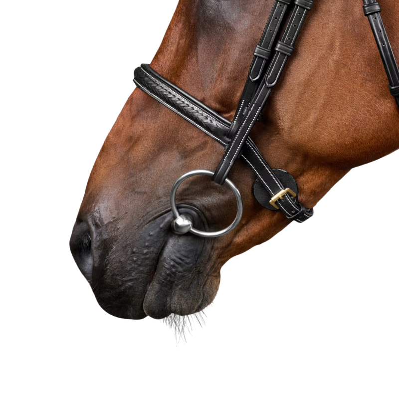 Dyon - Bridon tressé Dy'on Collection noir