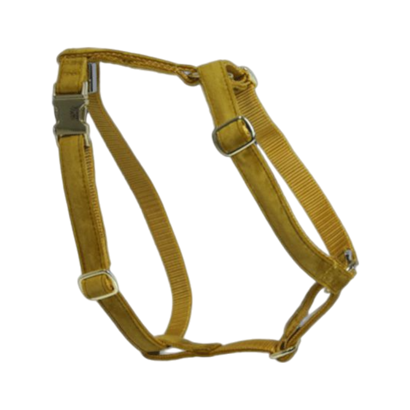 Kentucky Dogwear - Harnais pour chiens Velvet moutarde