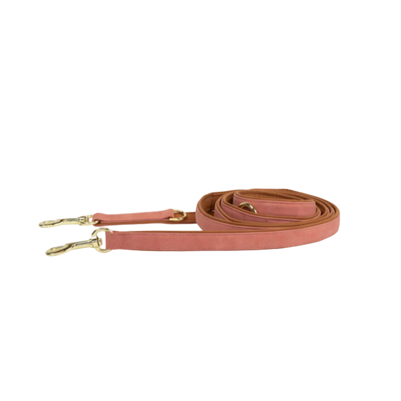 Kentucky Dogwear - La laisse chien vegan leather peach/brown 250cm
