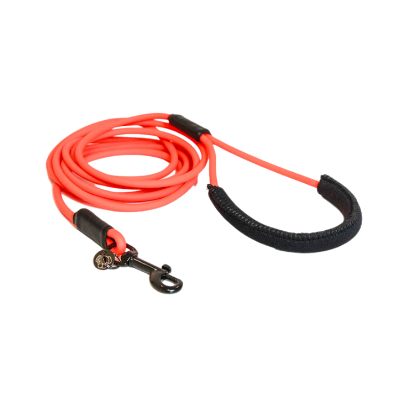 Kentucky Dogwear - Laisse d'entrainement en caoutchouc souple orange 3m