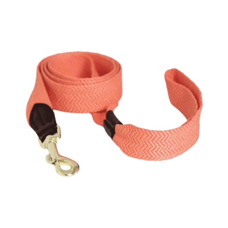 Kentucky Dogwear - Laisse pour chien Jacquard Orange  fluo