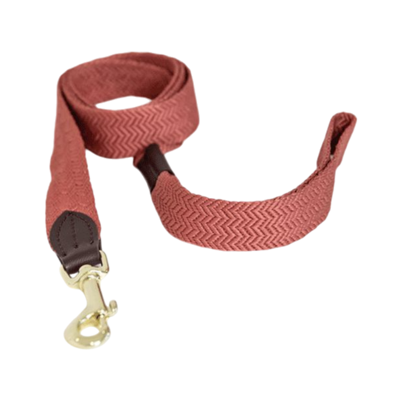 Kentucky Dogwear - Laisse pour chien Jacquard Terre cuite