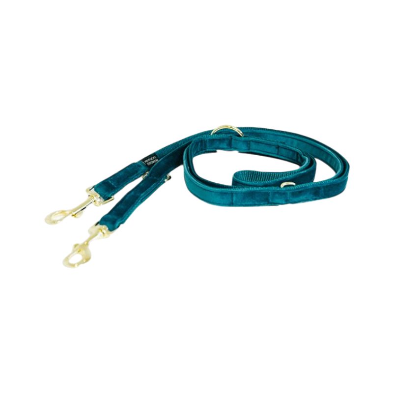 Kentucky Dogwear - Laisse pour chien Velvet 2m émeraude