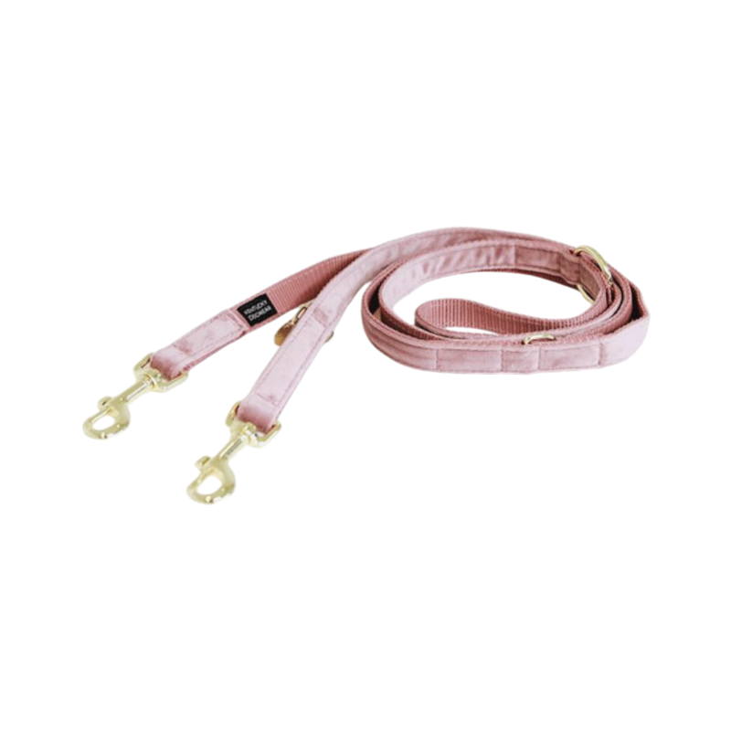 Kentucky Dogwear - Laisse pour chien Velvet 2m vieux rose