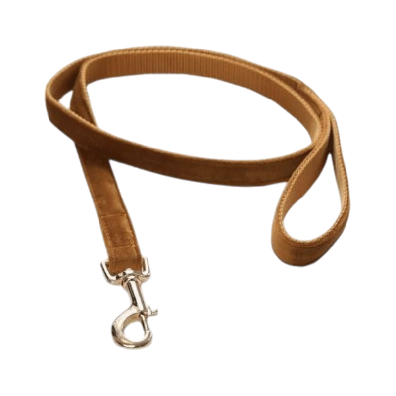 Kentucky Dogwear - Laisse pour chiens Velvet 120 cm Moutarde