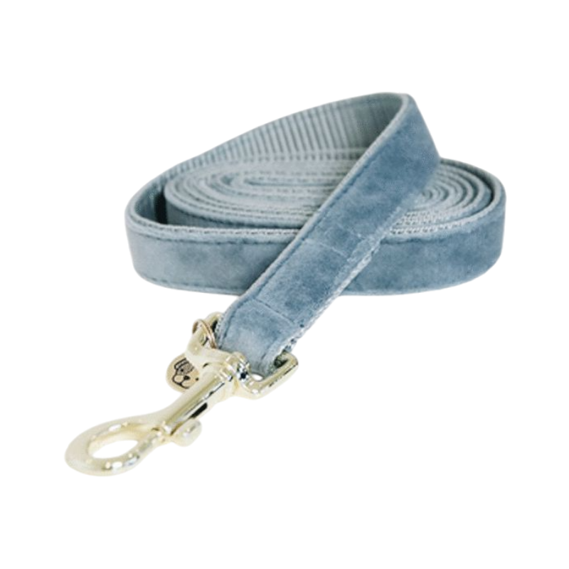 Kentucky Dogwear - Laisse pour chiens Velvet 120 cm bleu clair