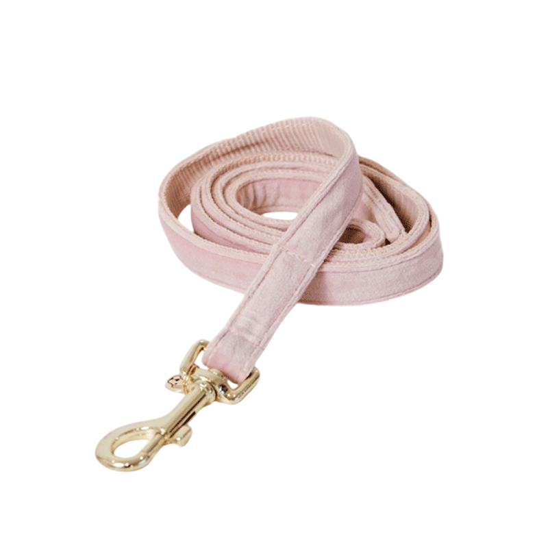 Kentucky Dogwear - Laisse pour chiens Velvet 120 cm rose tendre