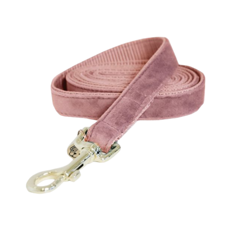 Kentucky Dogwear - Laisse pour chiens Velvet 120 cm vieux rose