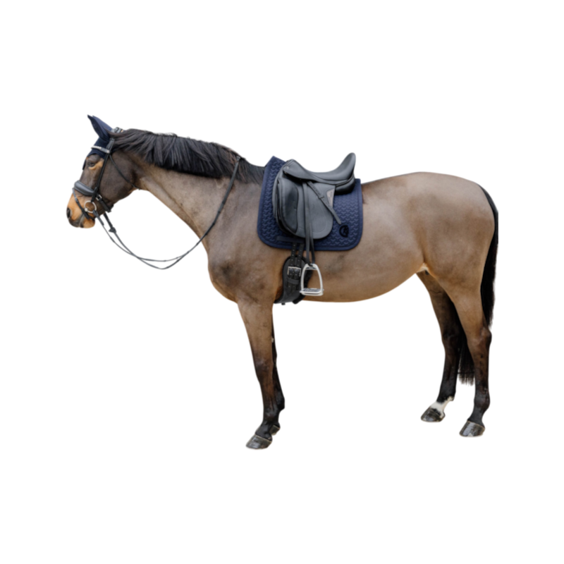 Kentucky Horsewear - Tapis de dressage 3D logo marine