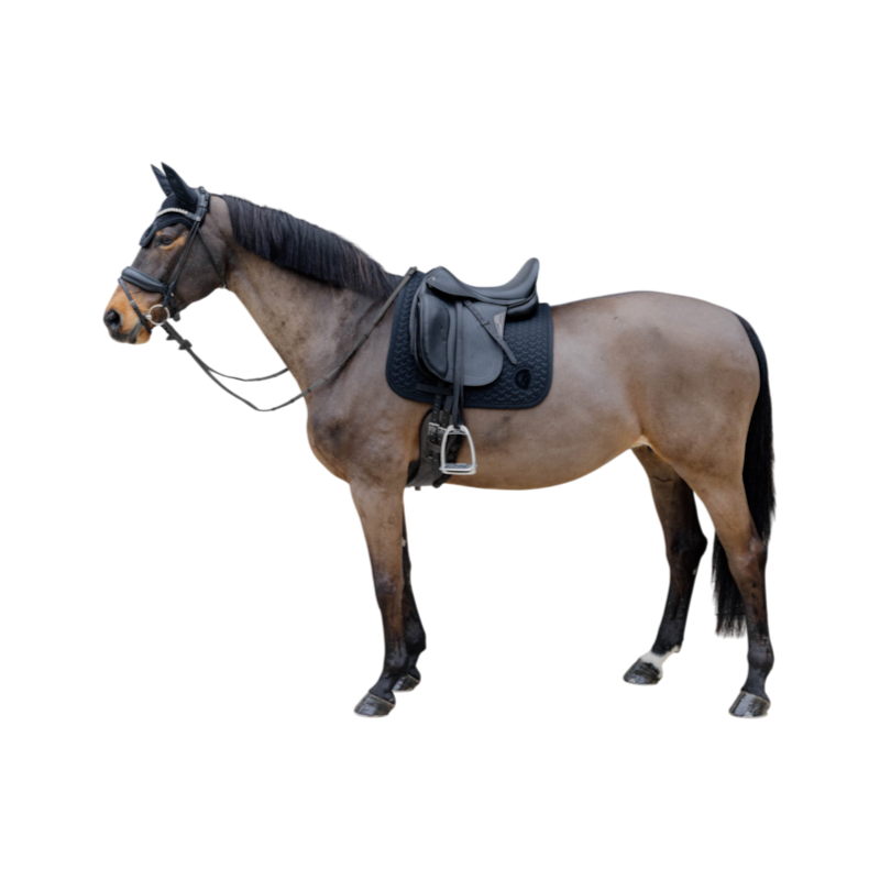 Kentucky Horsewear - Tapis de dressage 3D logo noir