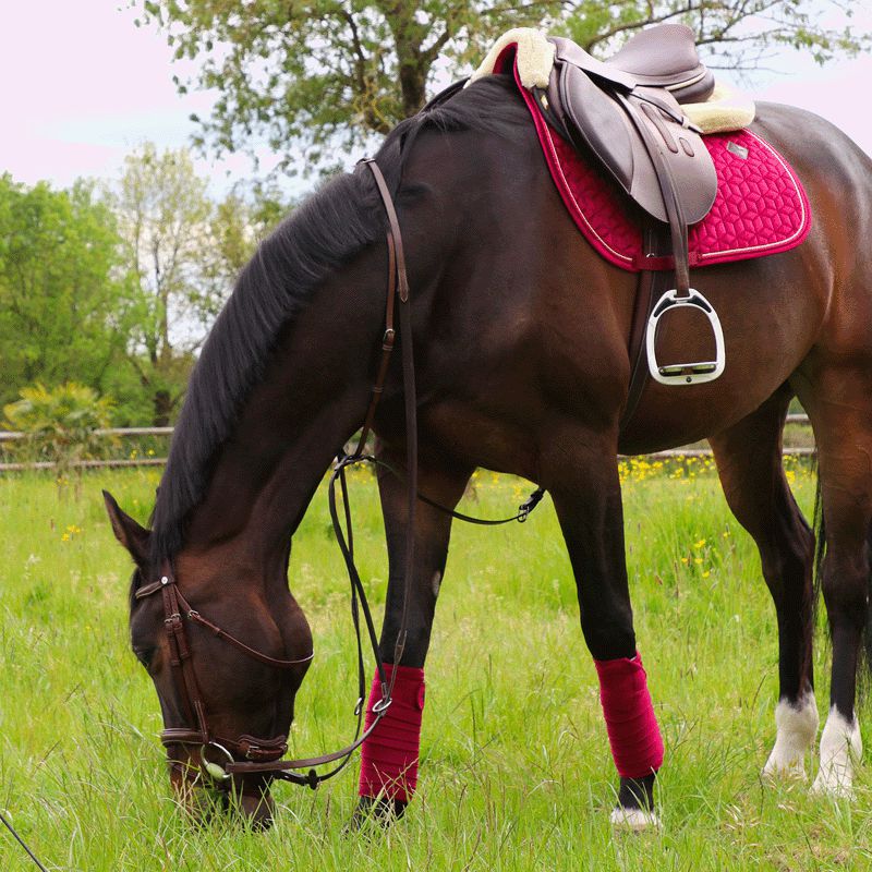 Kentucky Horsewear - Tapis de selle Velvet jumping Fuchsia | - Ohlala