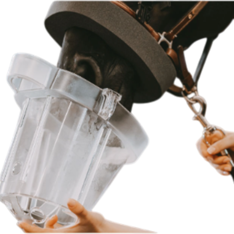 Nebu-Tec - Kit d'inhalation pour chevaux SAHOMA-II