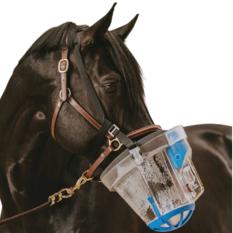 Nebu-Tec - Kit d'inhalation pour chevaux SAHOMA-II