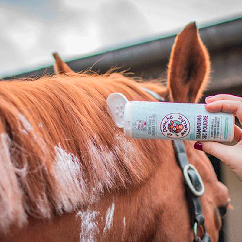 La Douche A Maouche - Shampoing sec poudre chevaux