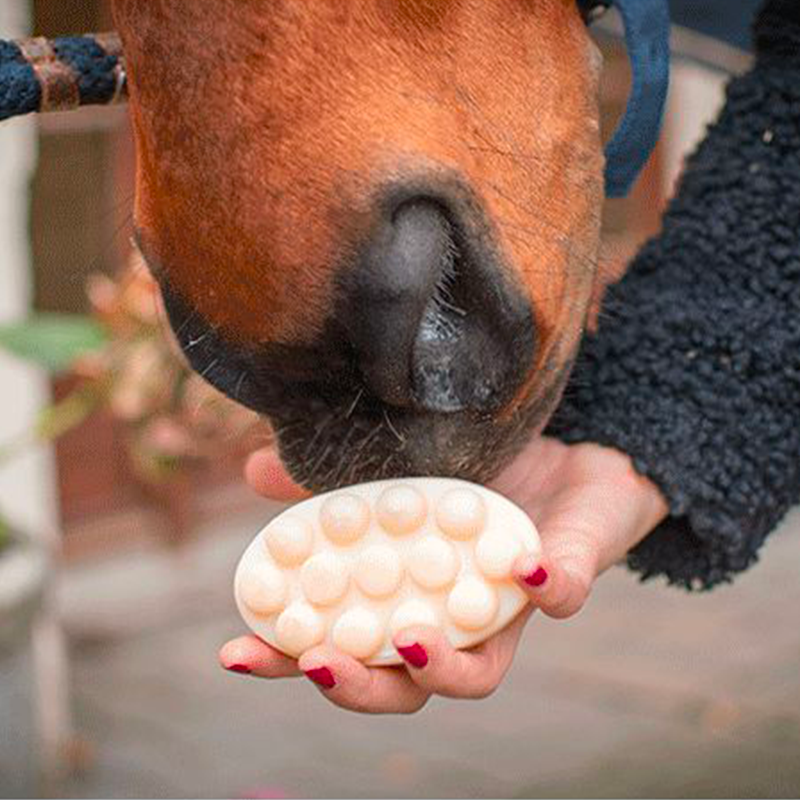 La Douche A Maouche - Shampoing solide pour chevaux