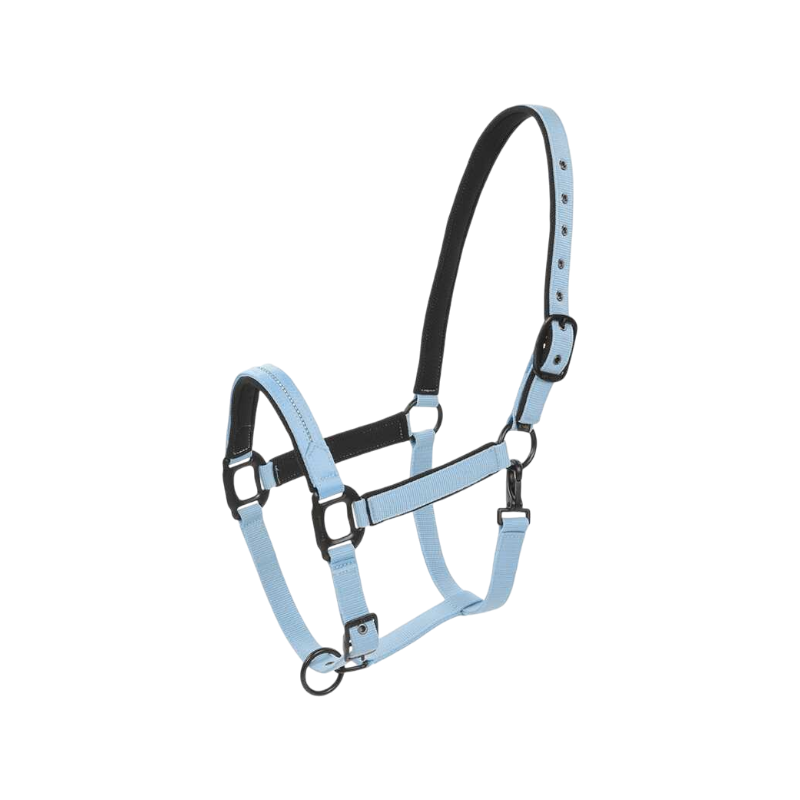 Lami-cell - Licol Charming bleu vif