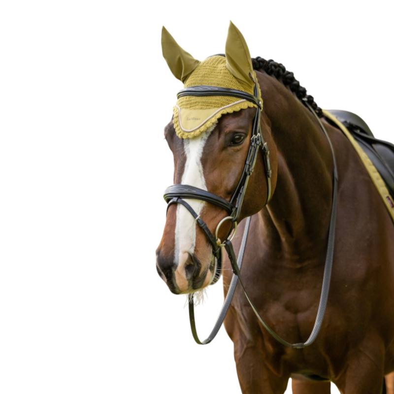 LeMieux - Bonnet pour chevaux Classic gooseberry