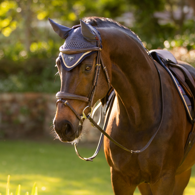 Lemieux - Bonnet pour chevaux Loire dusk blue
