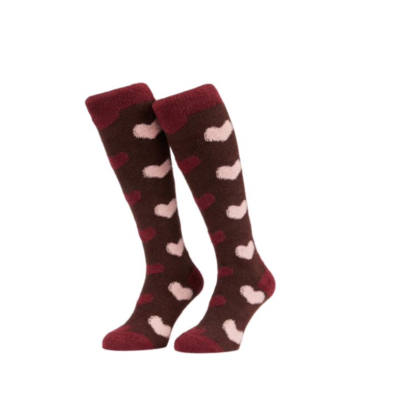 LeMieux - Chaussettes d'équitation Heart Fluffies bramble