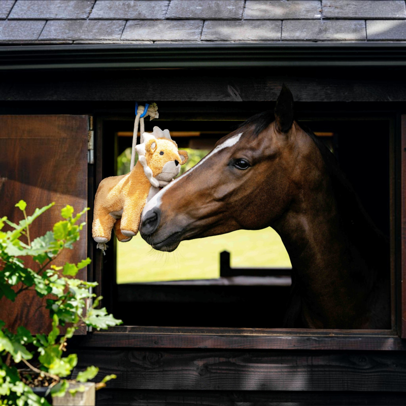 LeMieux - Jouet pour chevaux peluche Lion