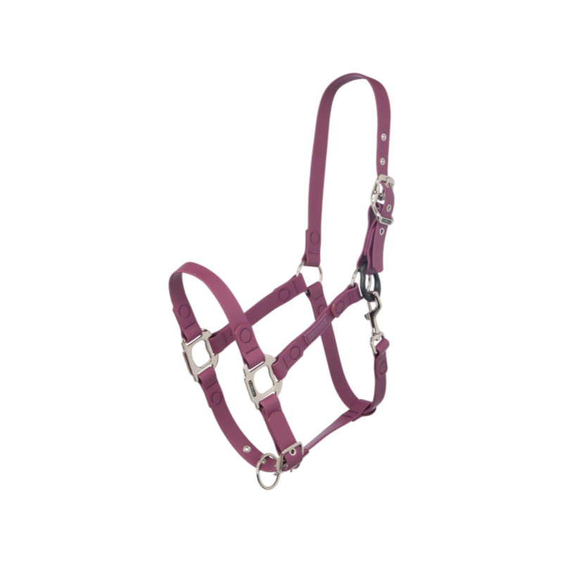 Licol Fieldflex blackberry - LeMieux