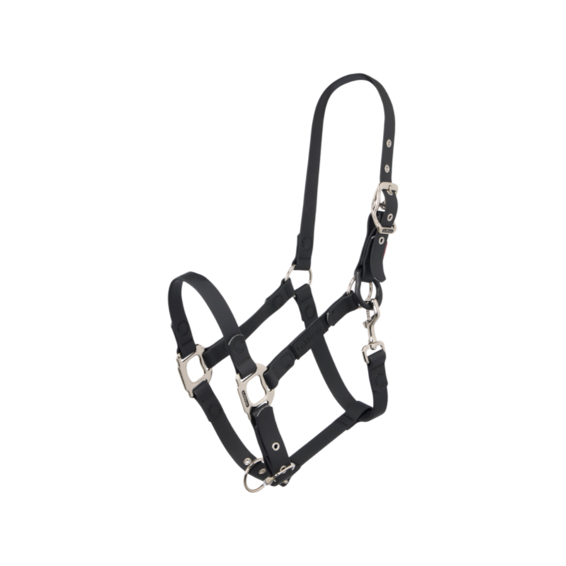 Licol Fieldflex noir - LeMieux