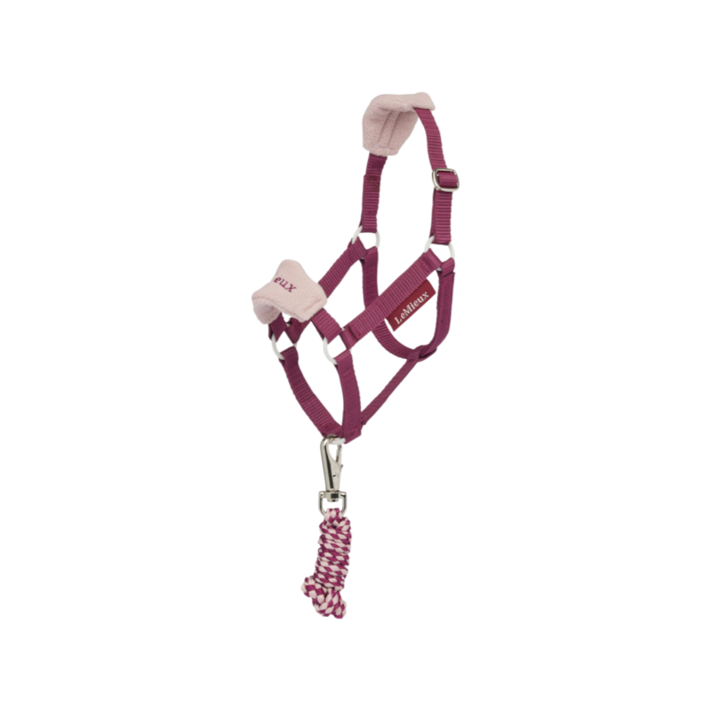 LeMieux - Longe et licol Vogue pour Hobby Horse blackberry
