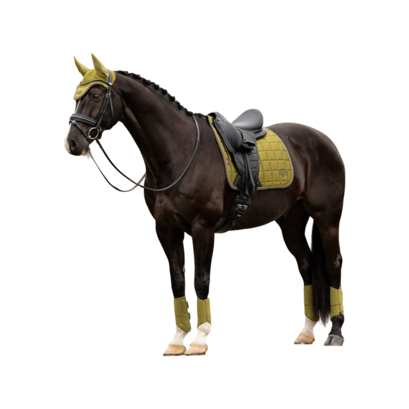 LeMieux - Tapis de dressage Square Loire Classic gooseberry