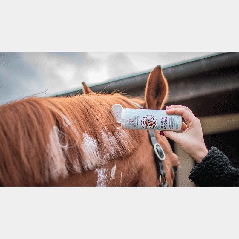 La Douche A Maouche - Shampoing sec poudre chevaux 250 ml | - Ohlala
